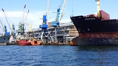 Рыбный порт Владивостока откажется от антрацита, чтобы увеличить грузооборот рыбы